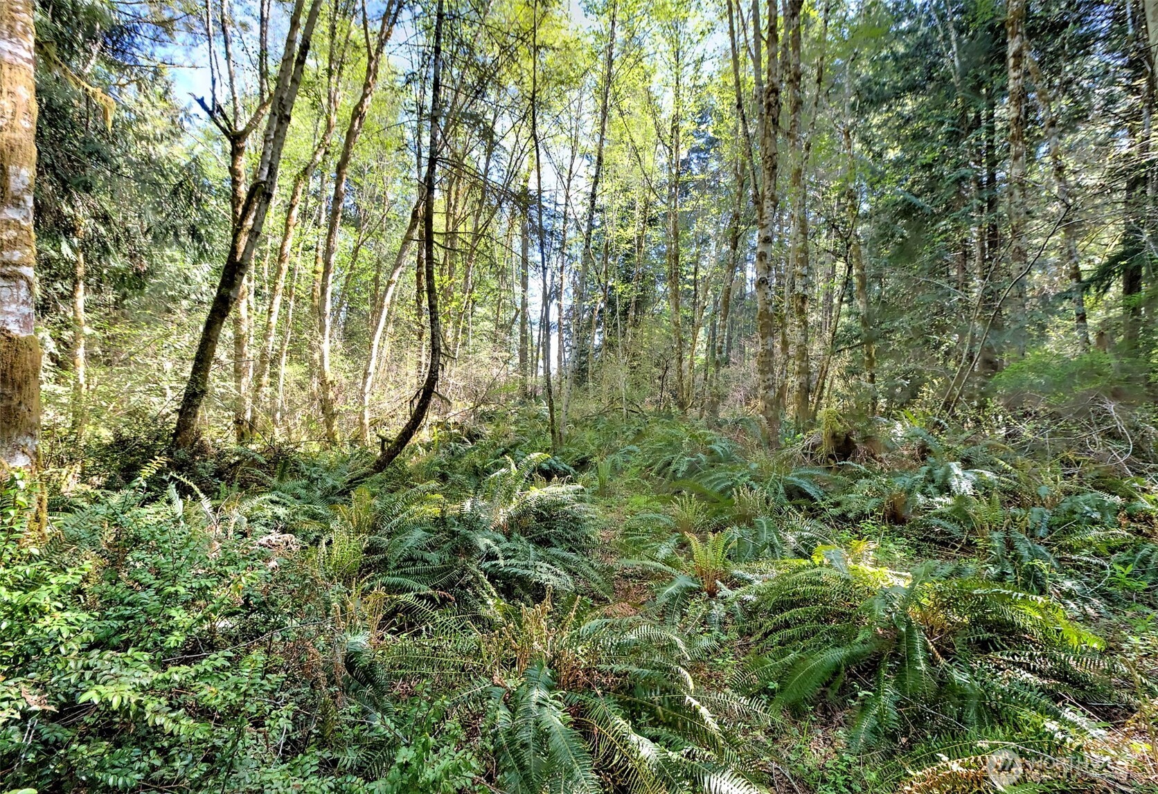 19381 E State Highway 3 Property Photo 9
