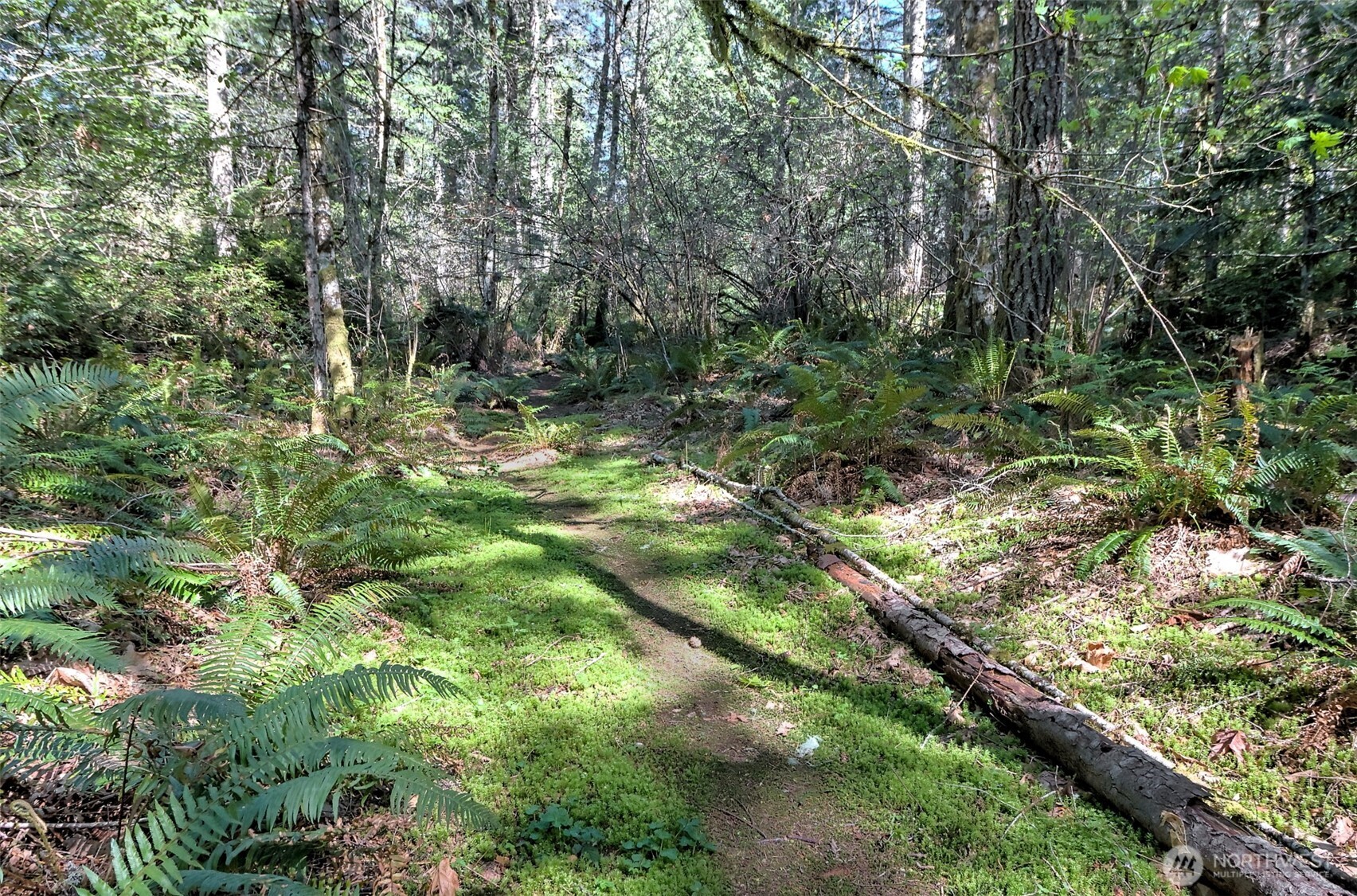 19381 E State Highway 3 Property Photo 11