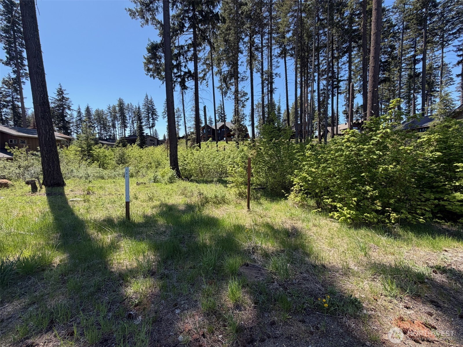 27 Legacy Trail Property Photo 3