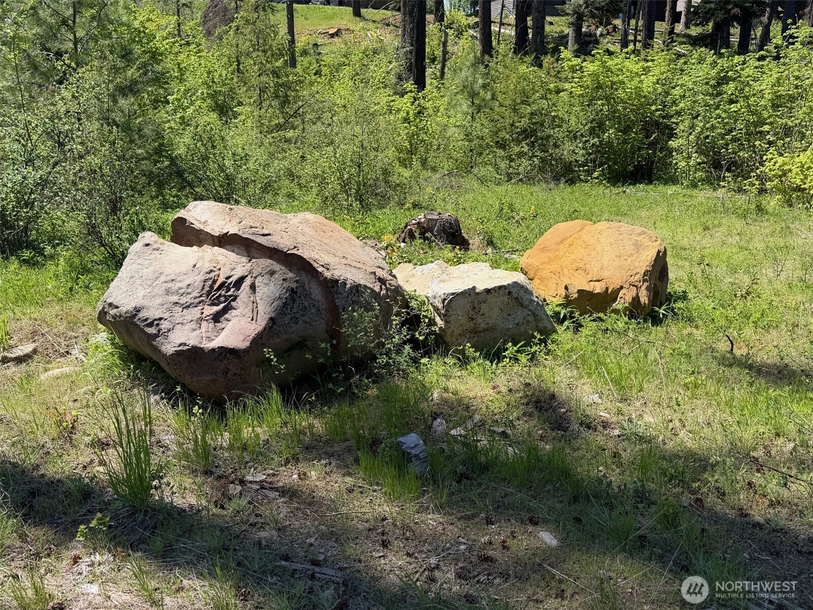28 Legacy Trail Property Photo 3