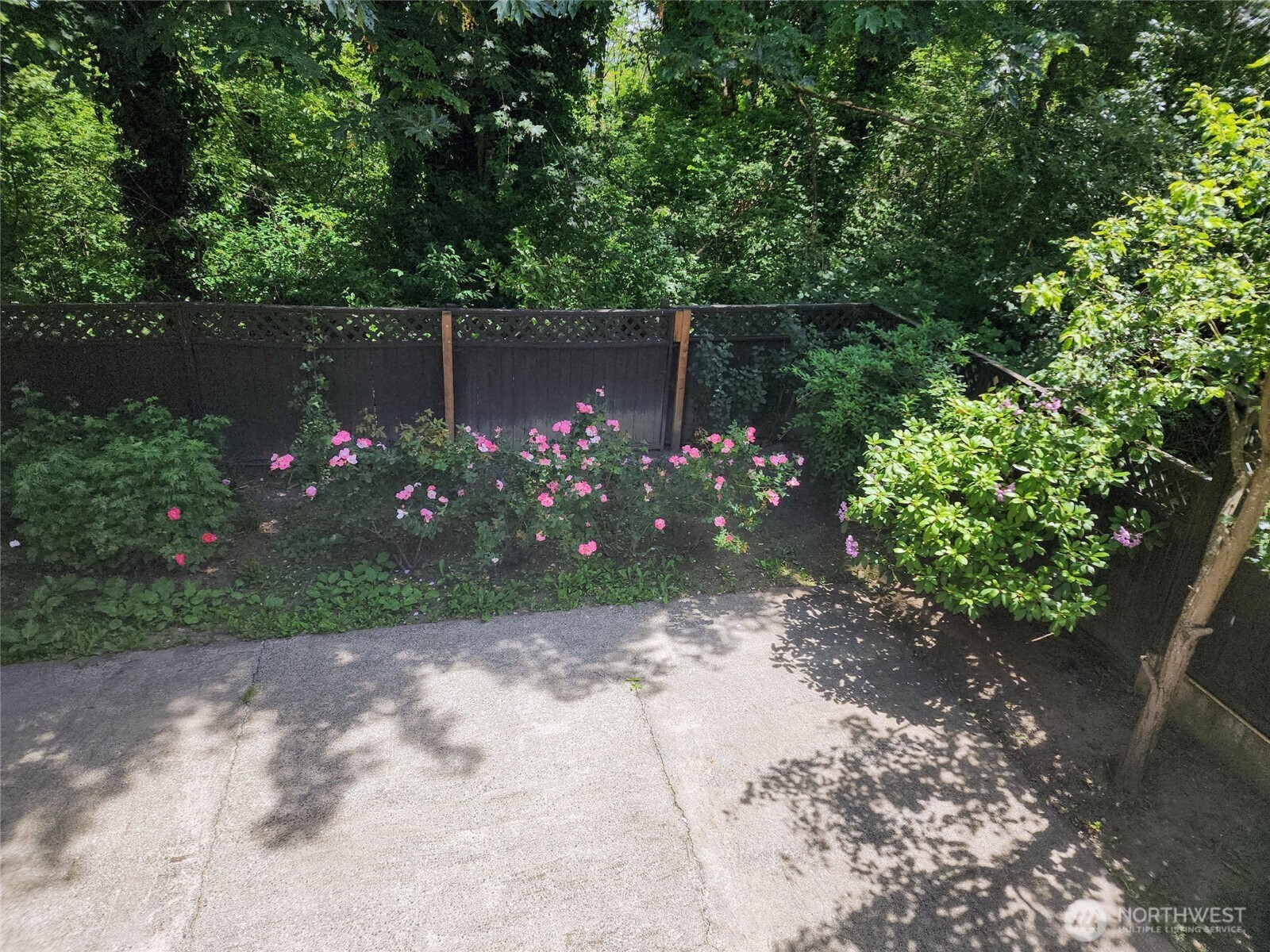 2367 S Forest Street Property Photo 32