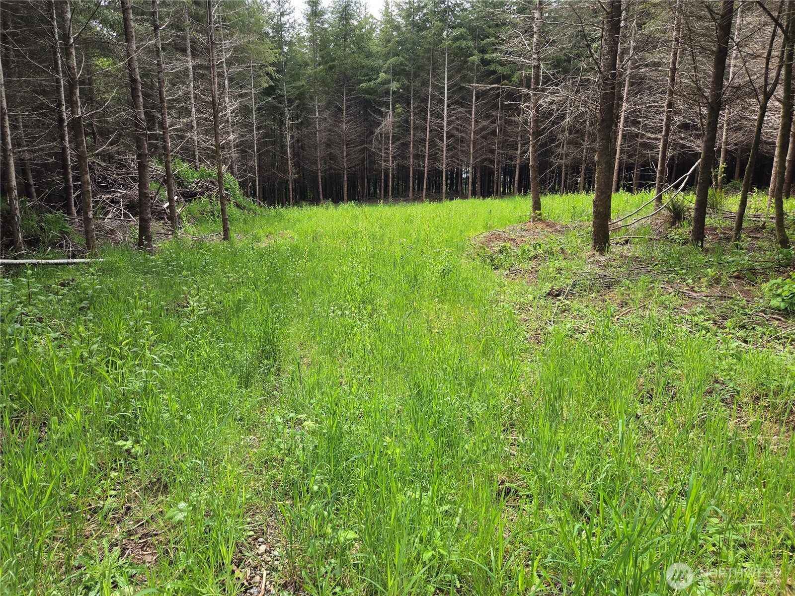 7 Beaver Hill Lane Property Photo 1