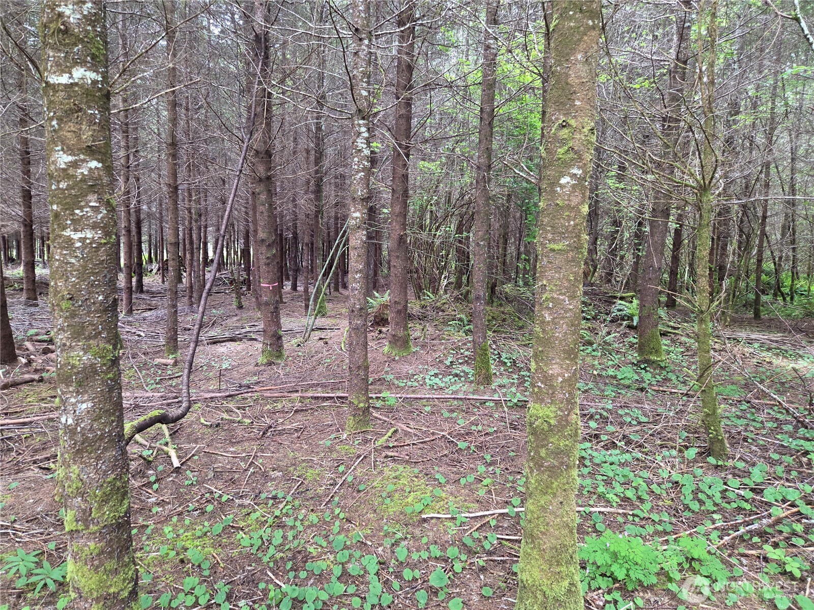 7 Beaver Hill Lane Property Photo 2