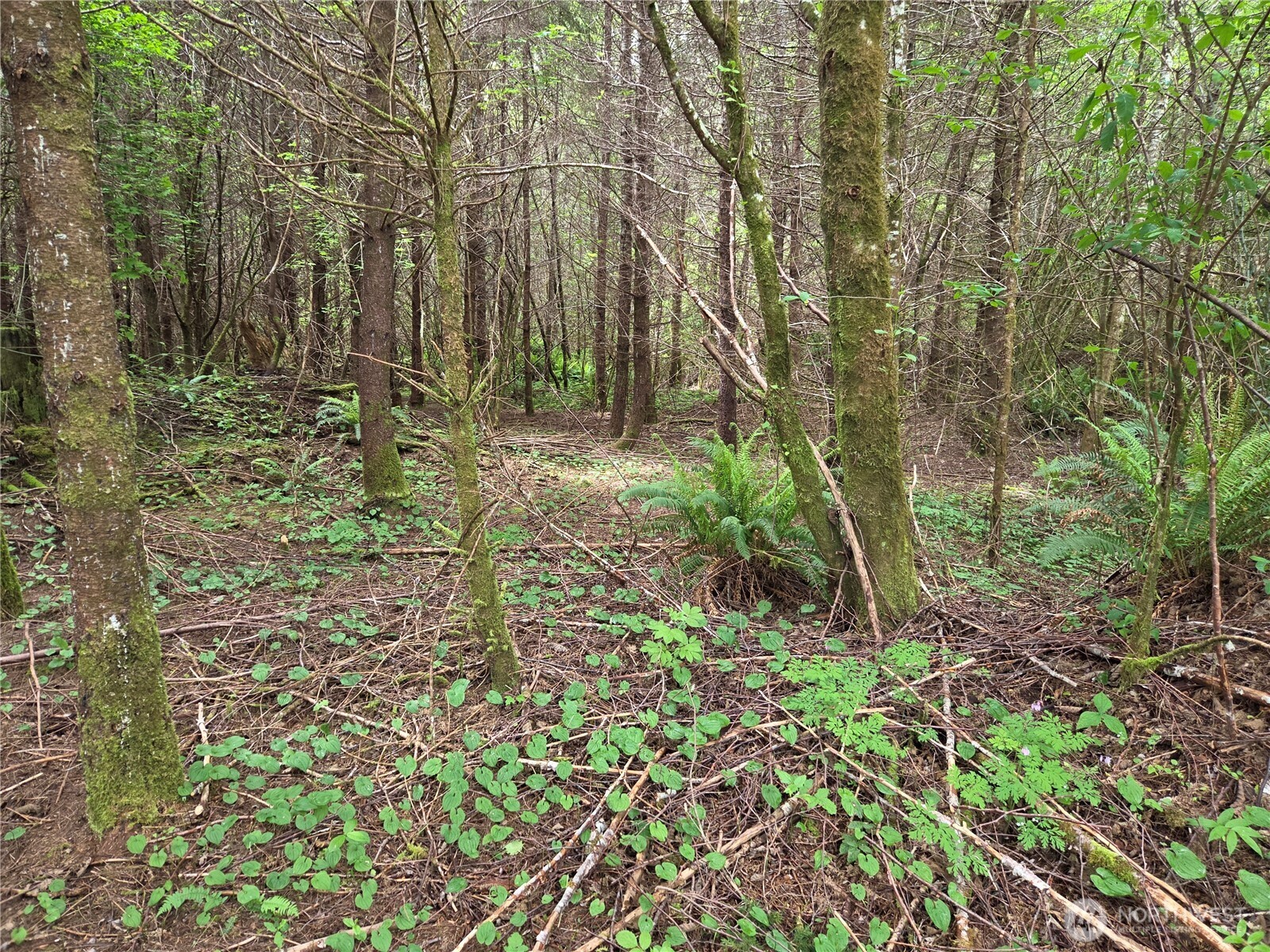 13 Beaver Hill Lane Property Photo 1