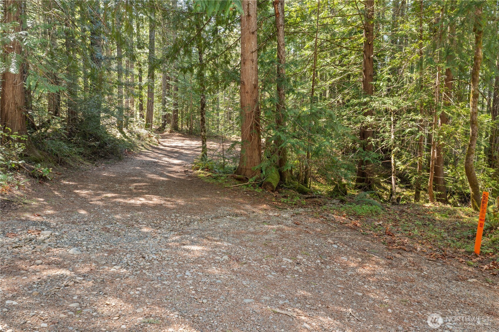 0 N White Tail Trail Property Photo 5