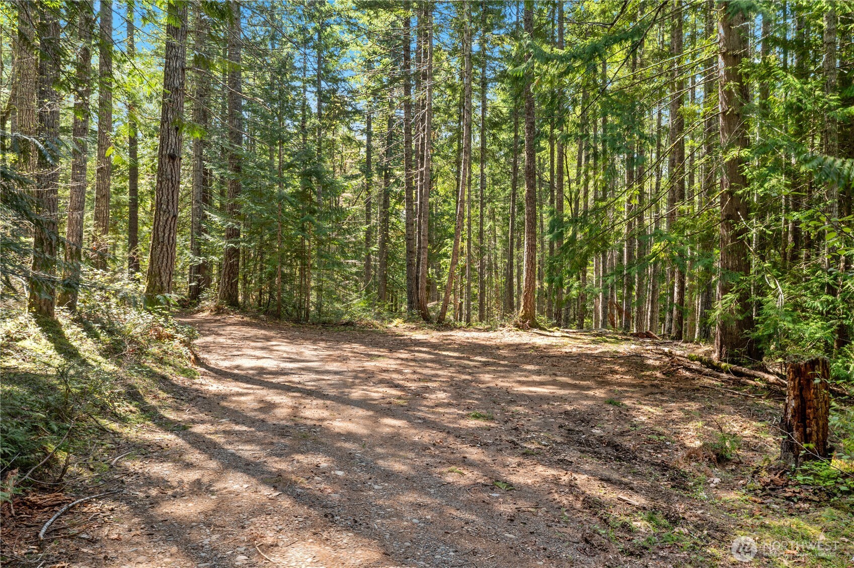 0 N White Tail Trail Property Photo 6
