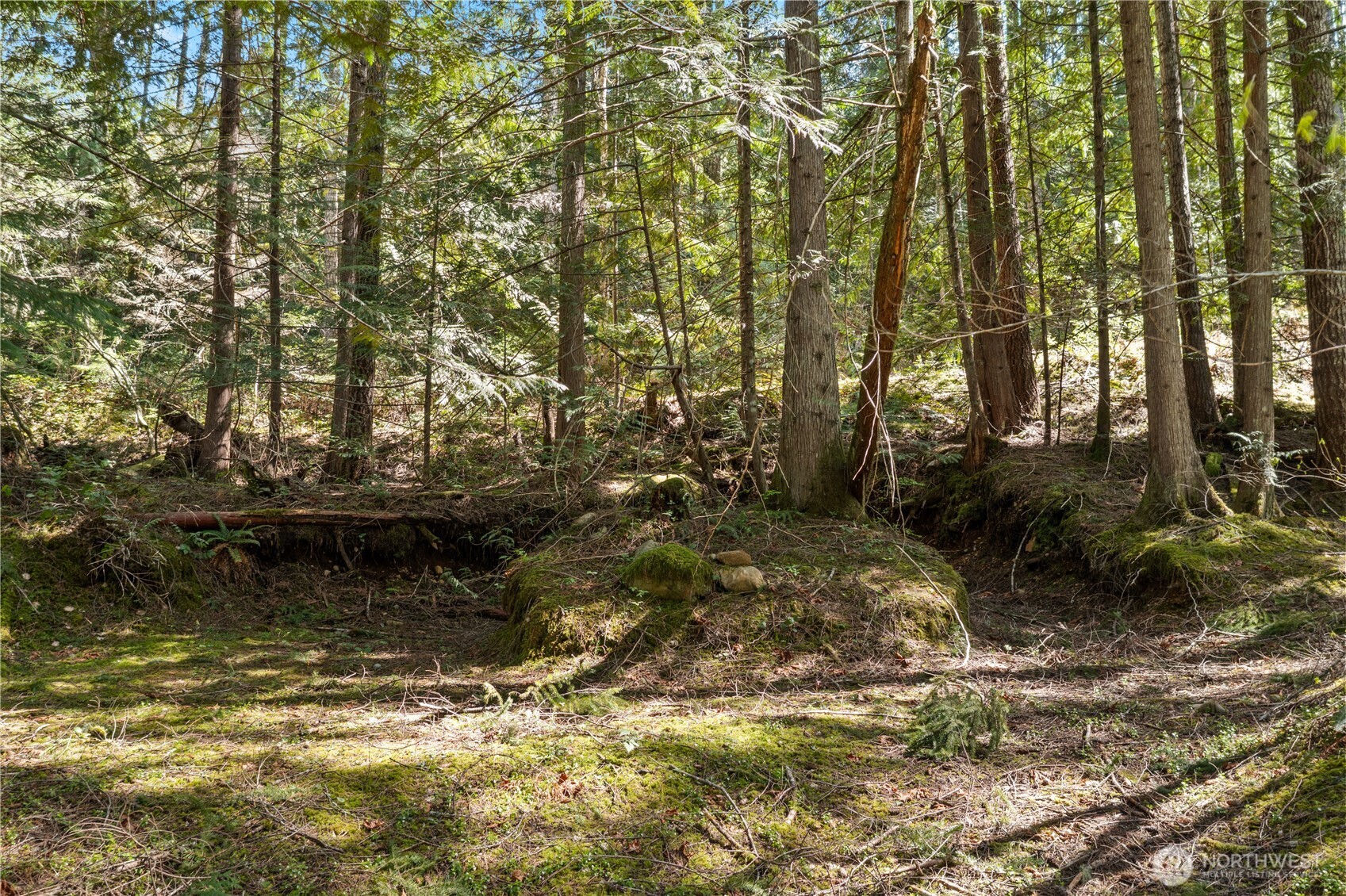 0 N White Tail Trail Property Photo 7