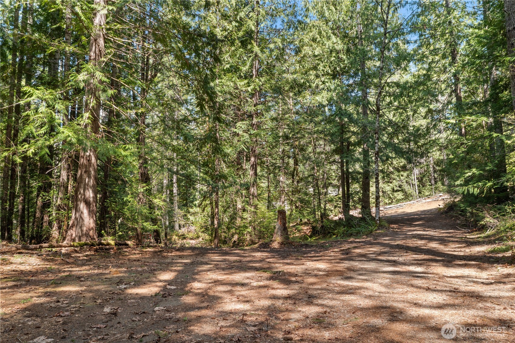 0 N White Tail Trail Property Photo 10