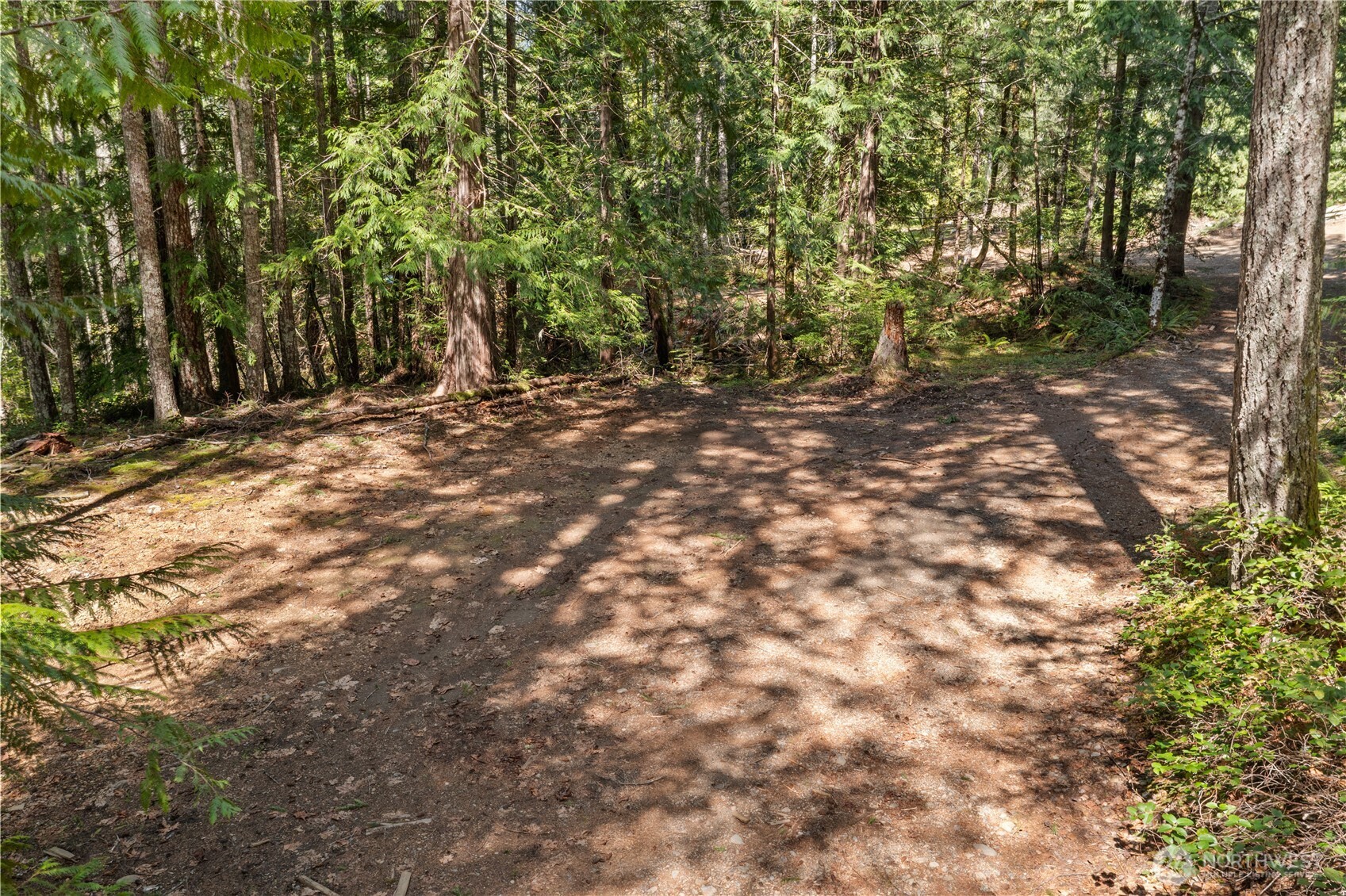 0 N White Tail Trail Property Photo 11