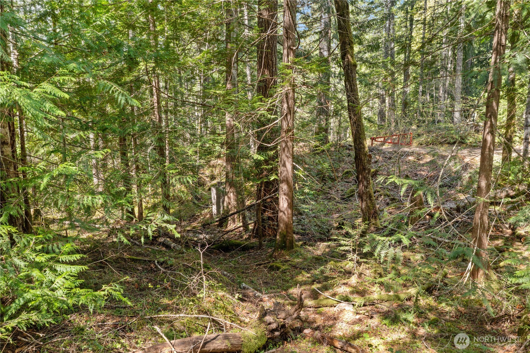 0 N White Tail Trail Property Photo 12