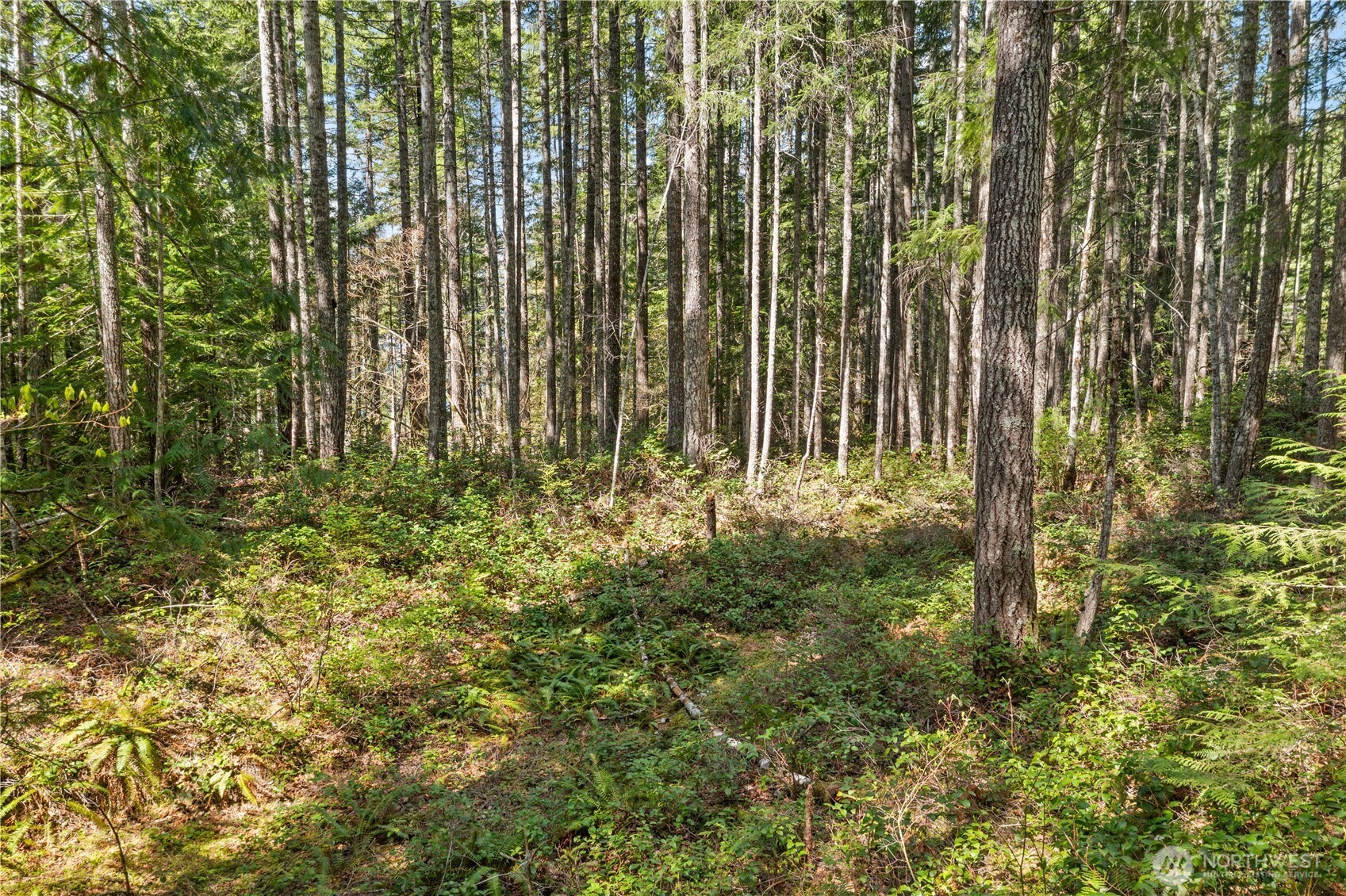 0 N White Tail Trail Property Photo 16