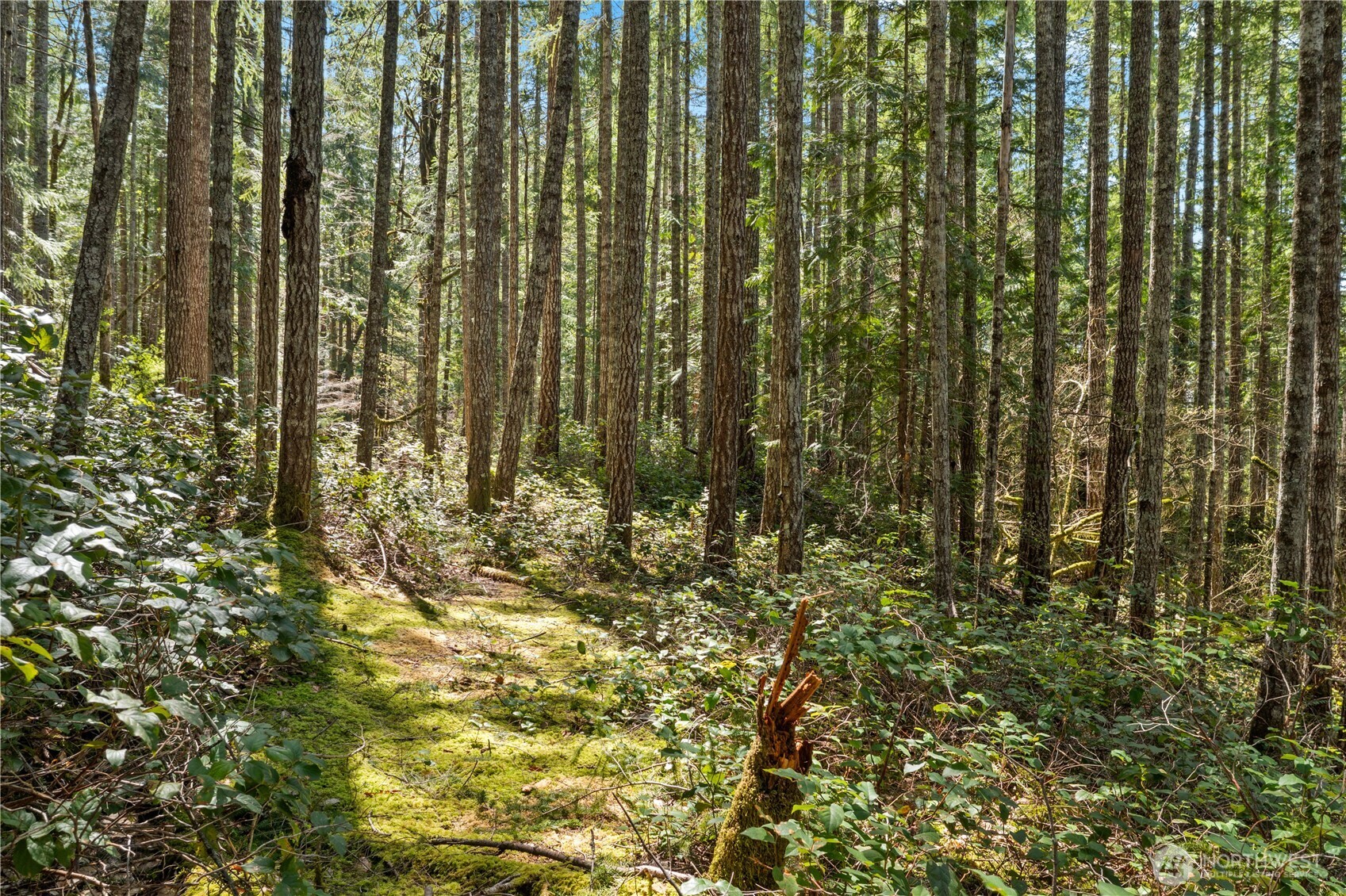 0 N White Tail Trail Property Photo 17