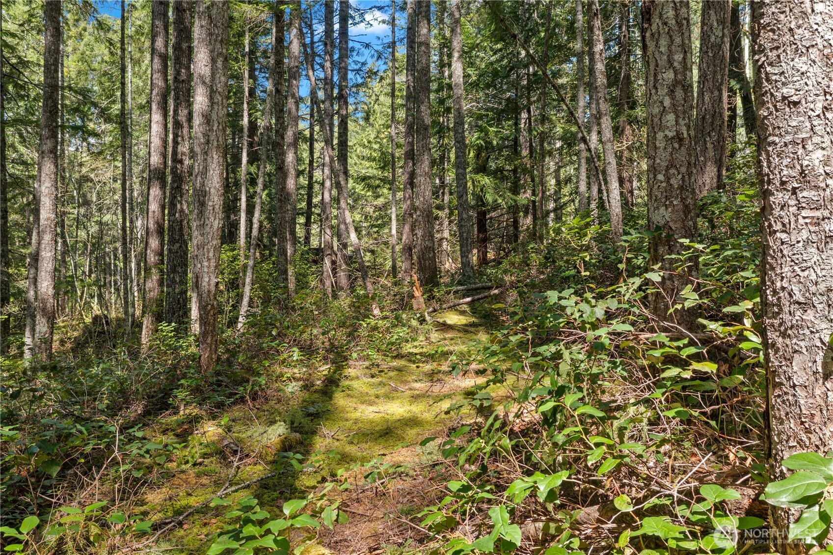 0 N White Tail Trail Property Photo 18