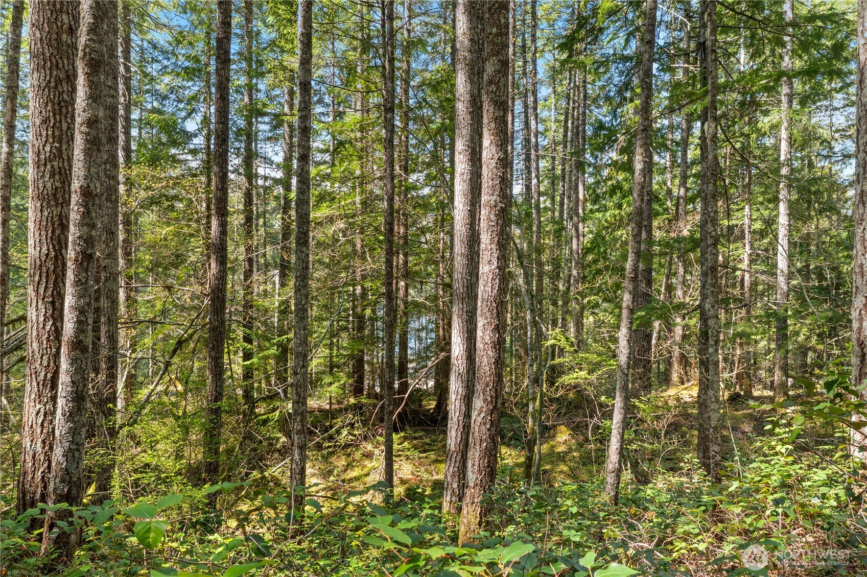 0 N White Tail Trail Property Photo 19