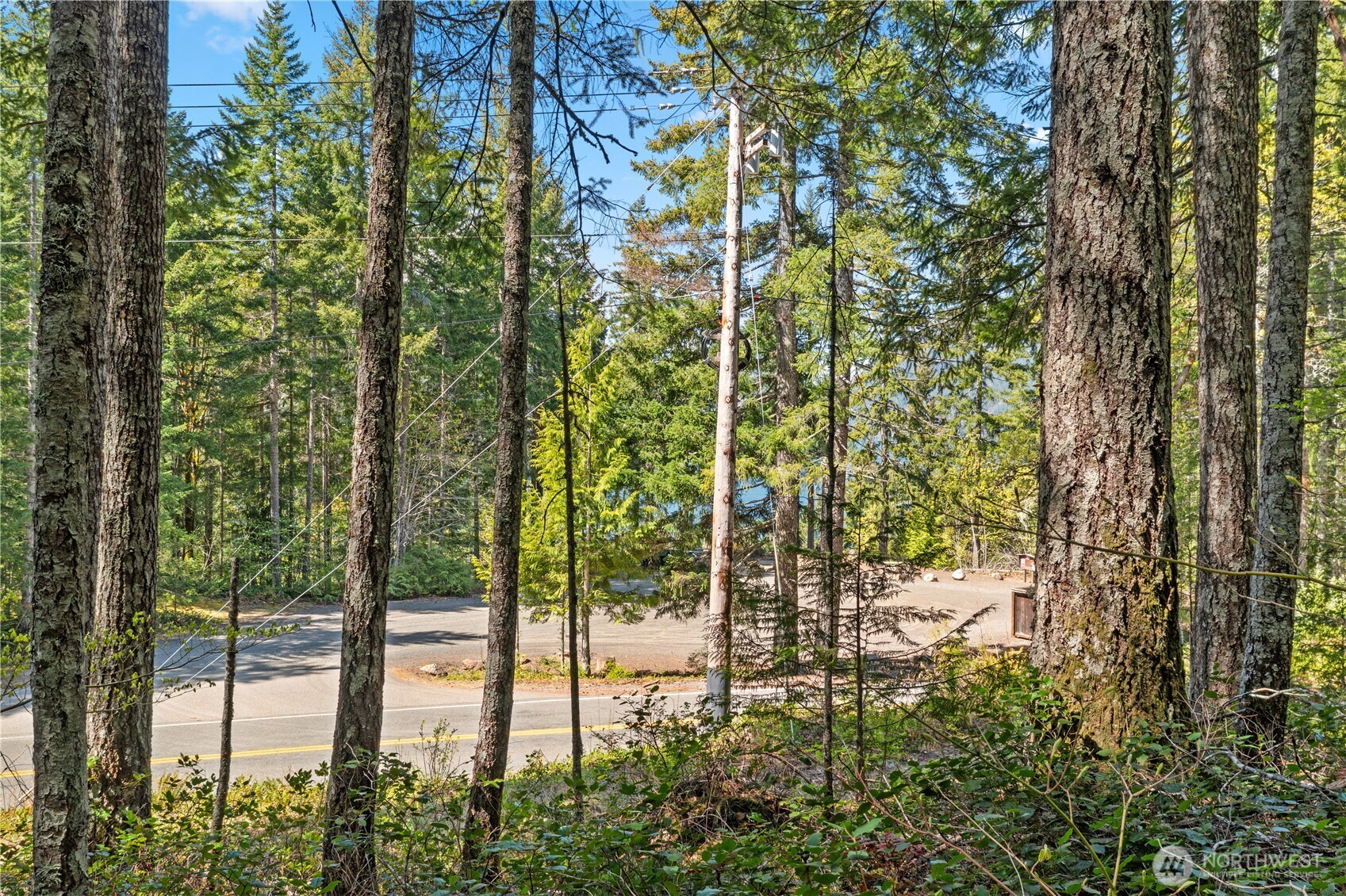 0 N White Tail Trail Property Photo 24