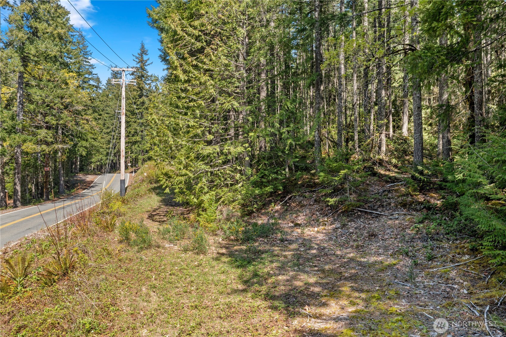 0 N White Tail Trail Property Photo 25