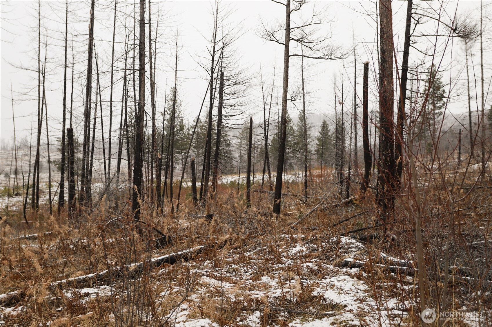 0 Red Feather Lot 16 B Property Photo 13