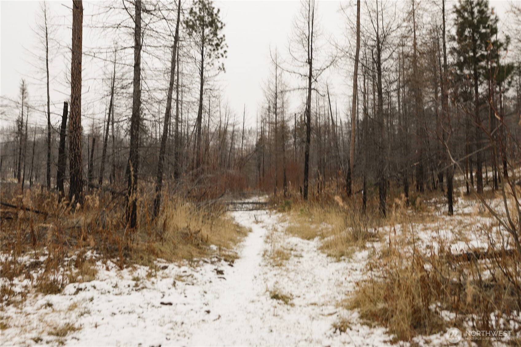 0 Red Feather Lot 16 B Property Photo 14