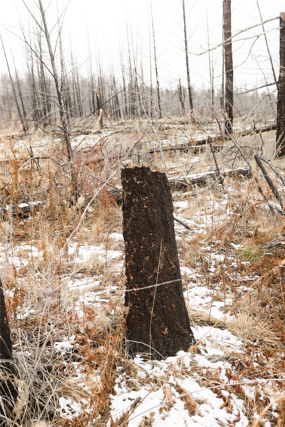 0 Red Feather Lot 16 B Property Photo 17