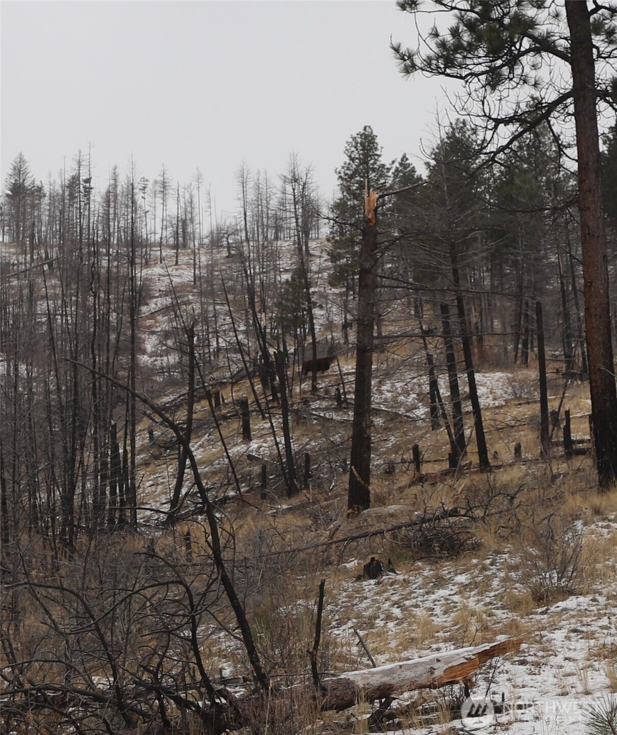 0 Red Feather Lot 16 B Property Photo 18
