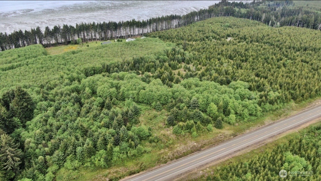 50 Willapa Sands Lane Property Photo 1