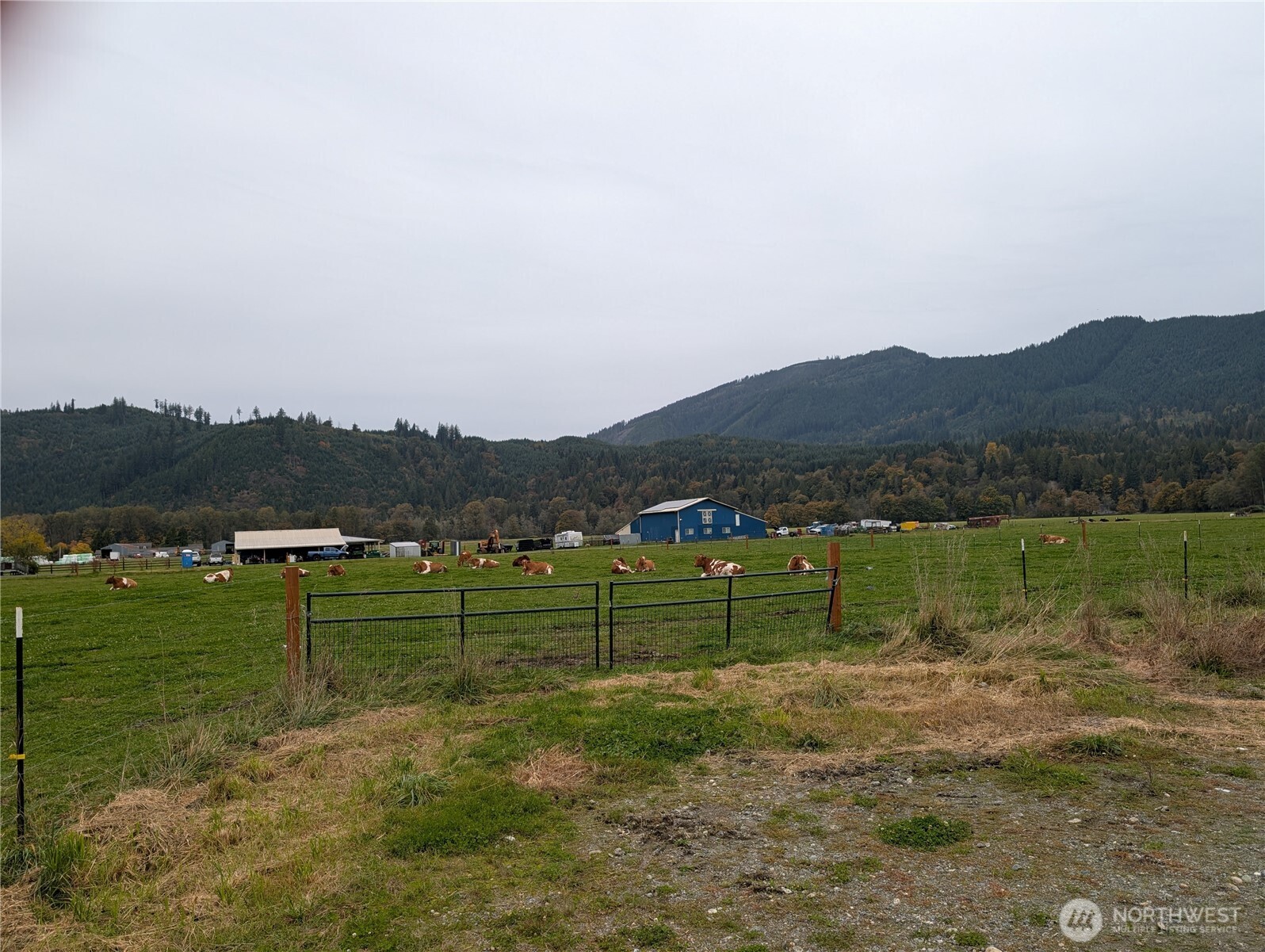 15317 300th Street Property Photo 4