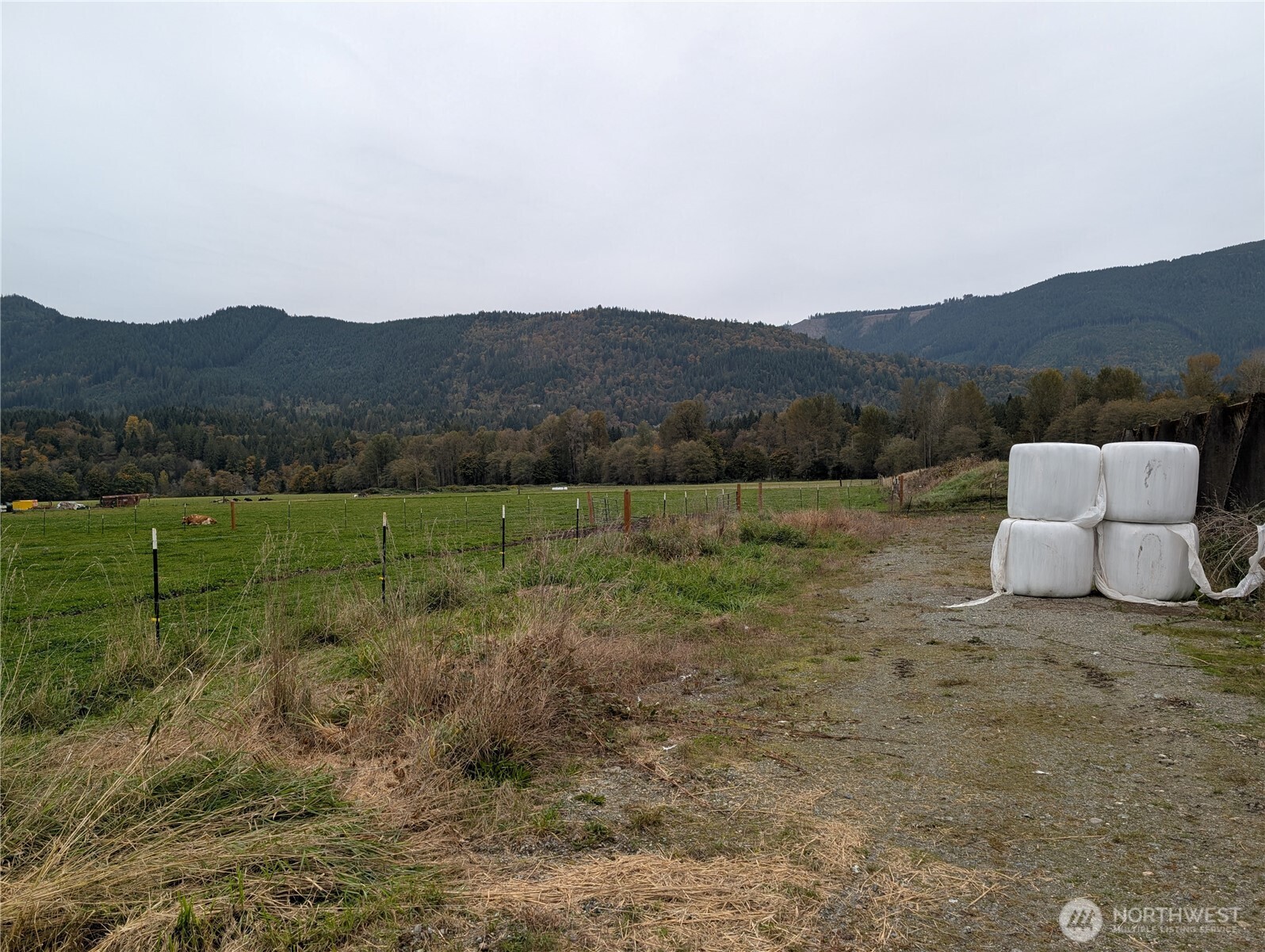 15317 300th Street Property Photo 5