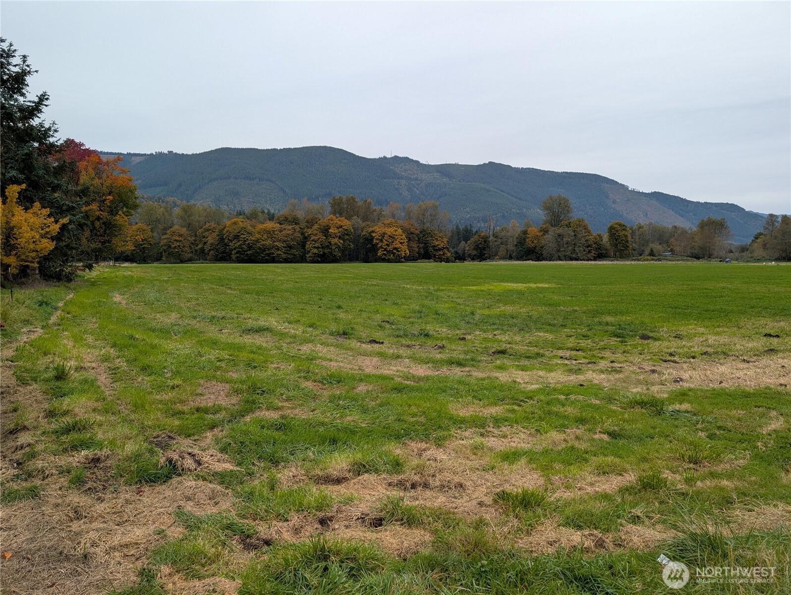 15317 300th Street Property Photo 8