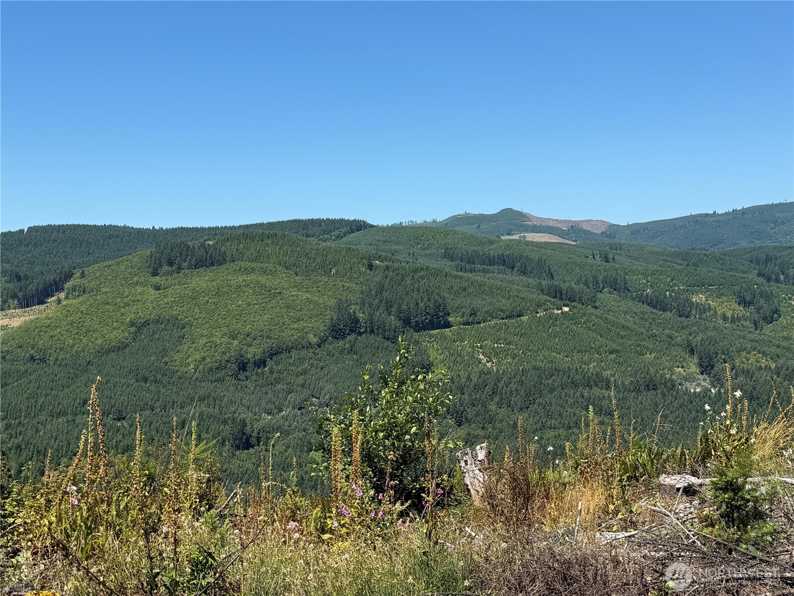 3725 Little Kalama River Road E Property Photo 3