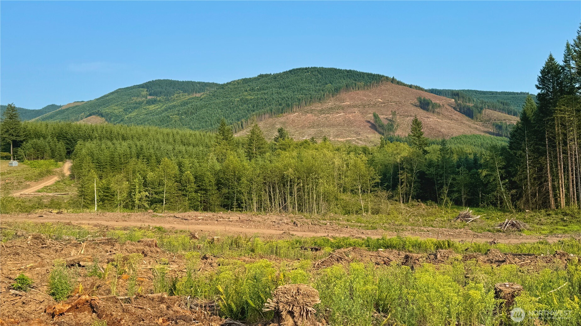 3725 Little Kalama River Road E Property Photo 4