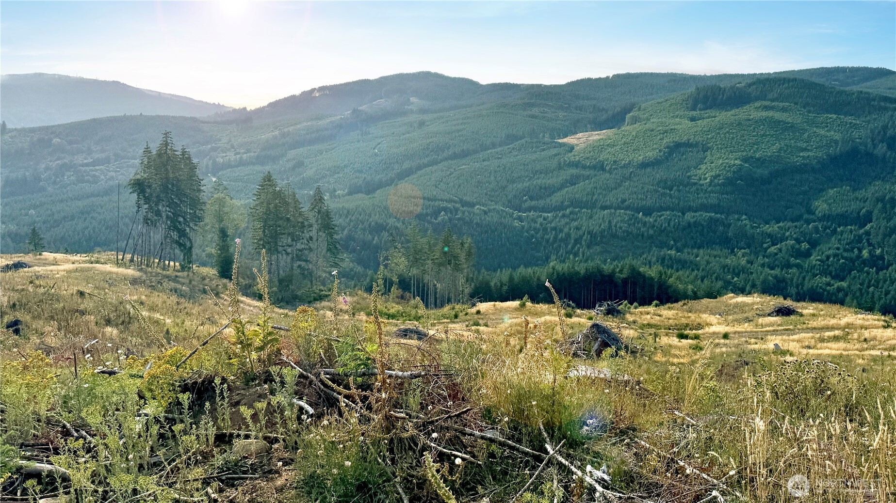 3725 Little Kalama River Road E Property Photo 9