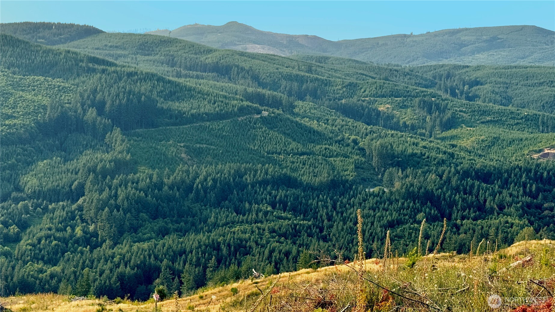 3725 Little Kalama River Road E Property Photo 10