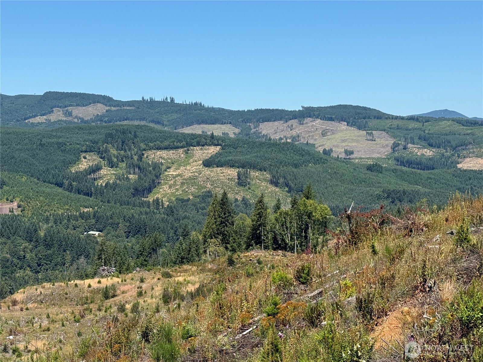 3725 Little Kalama River Road E Property Photo 11