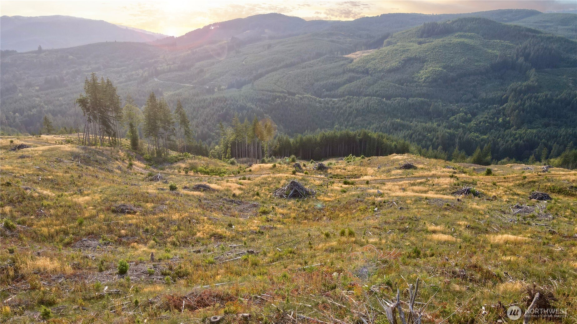 3725 Little Kalama River Road E Property Photo 18