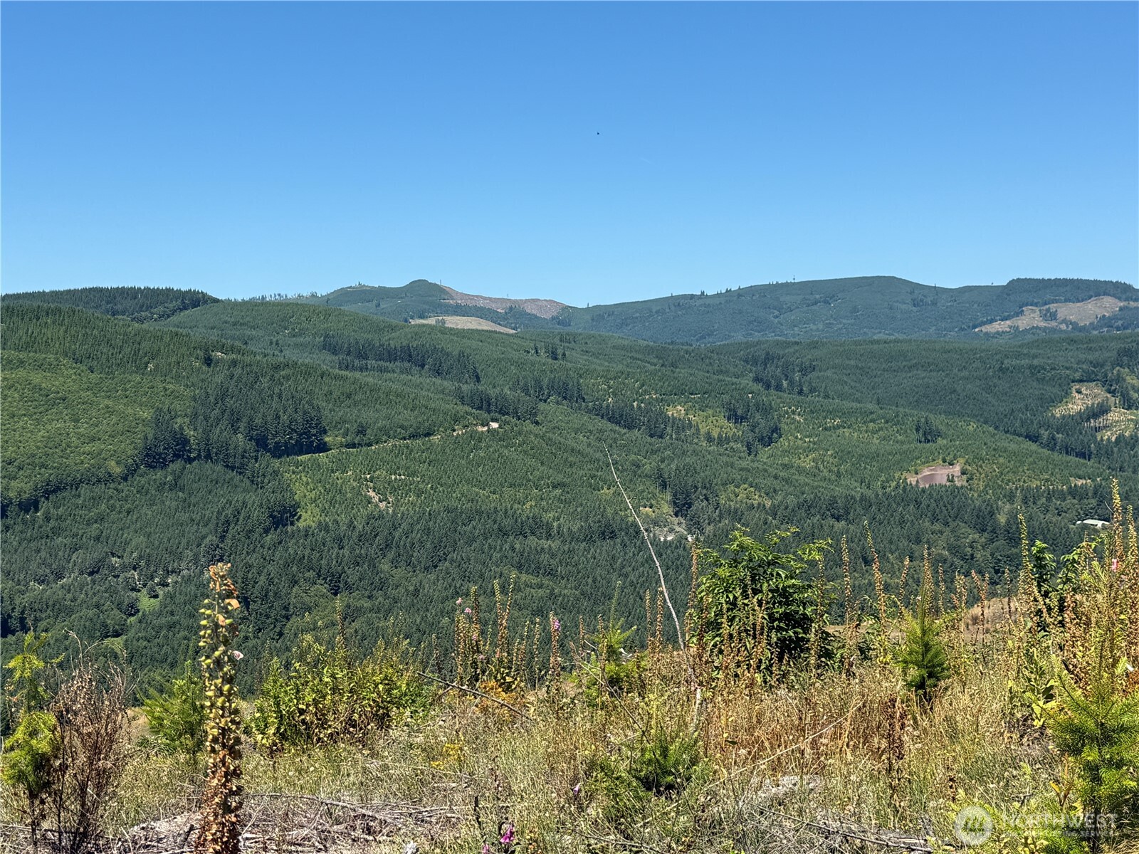 3725 Little Kalama River Road E Property Photo 20