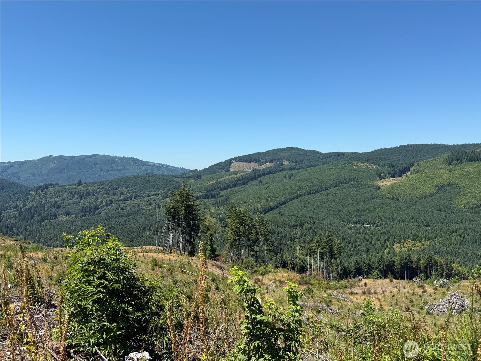 3725 Little Kalama River Road E Property Photo 25