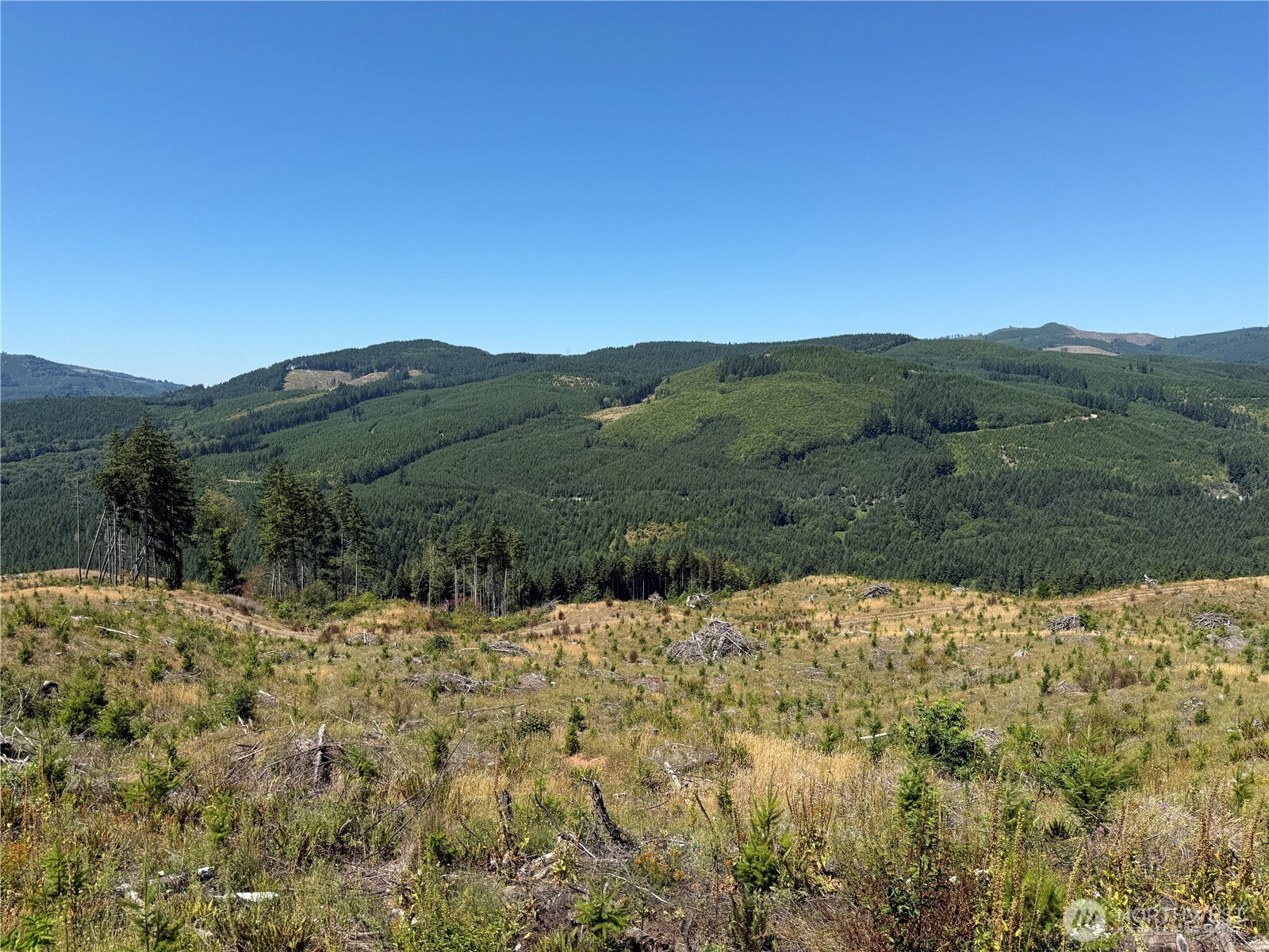 3725 Little Kalama River Road E Property Photo 26