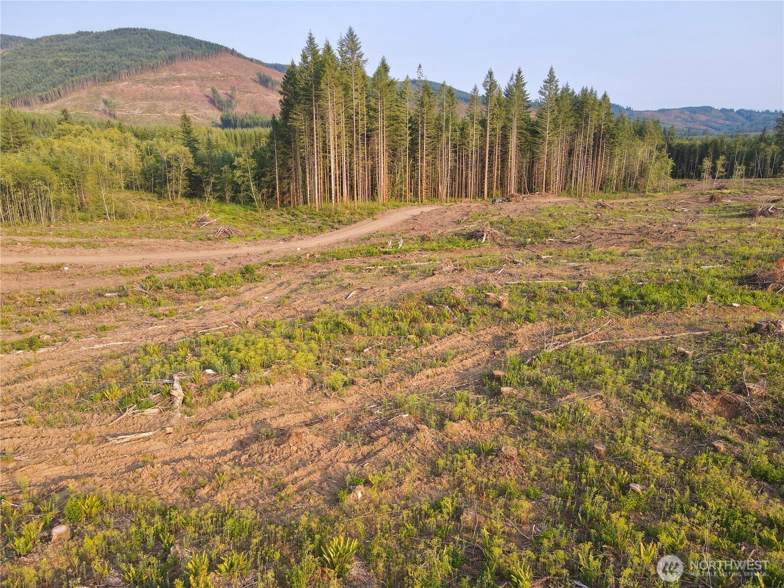 3725 Little Kalama River Road E Property Photo 28