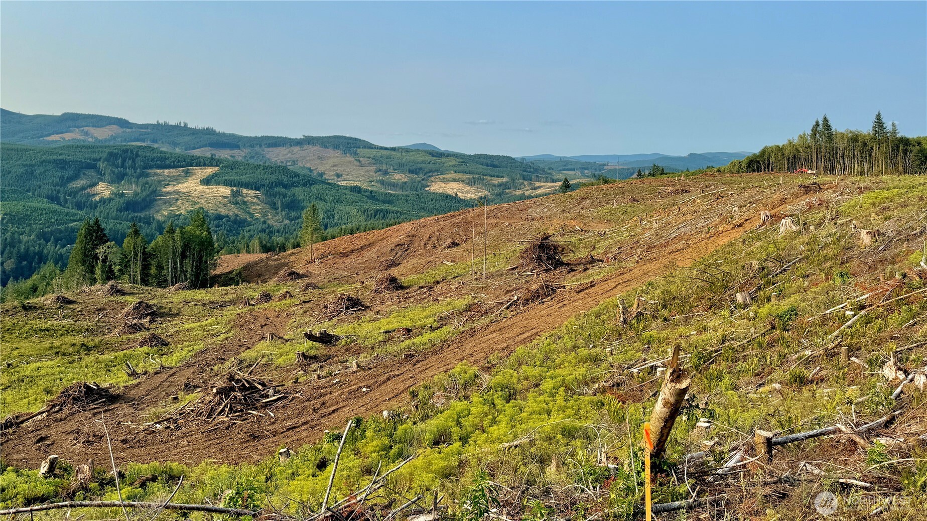 3725 Little Kalama River Road E Property Photo 32