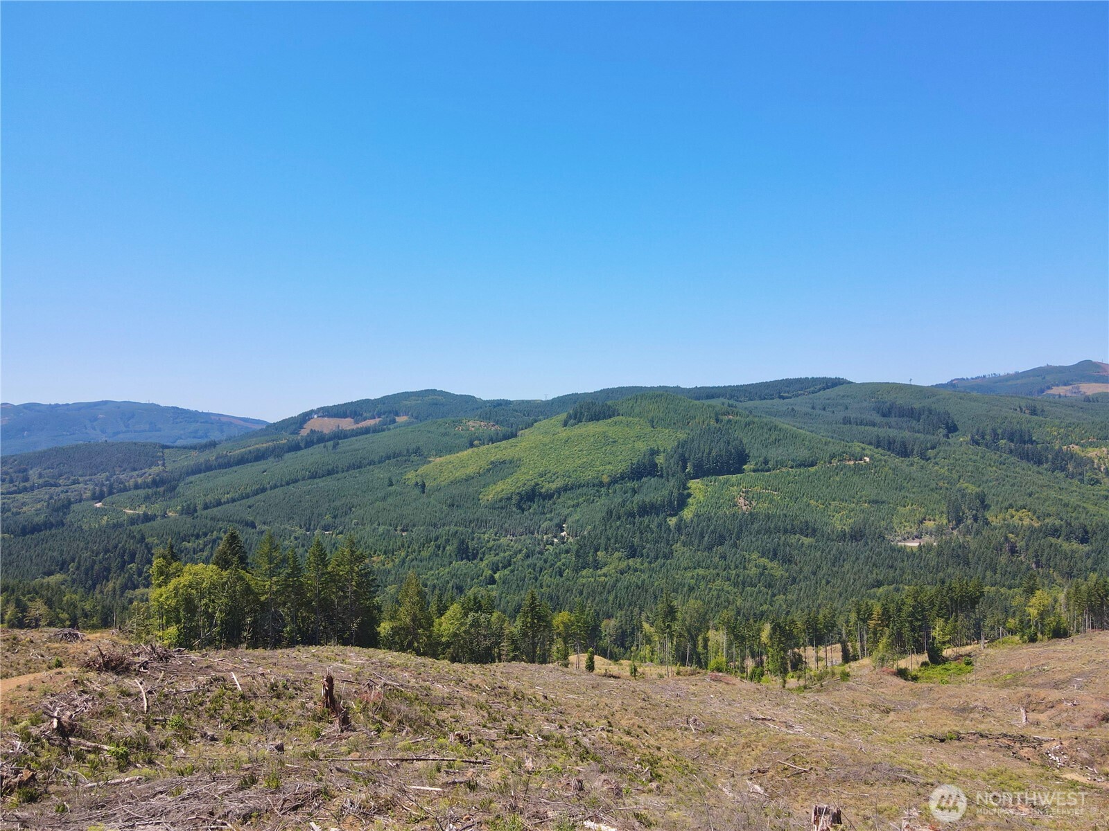 3700 Little Kalama River Road 6 Property Photo 1
