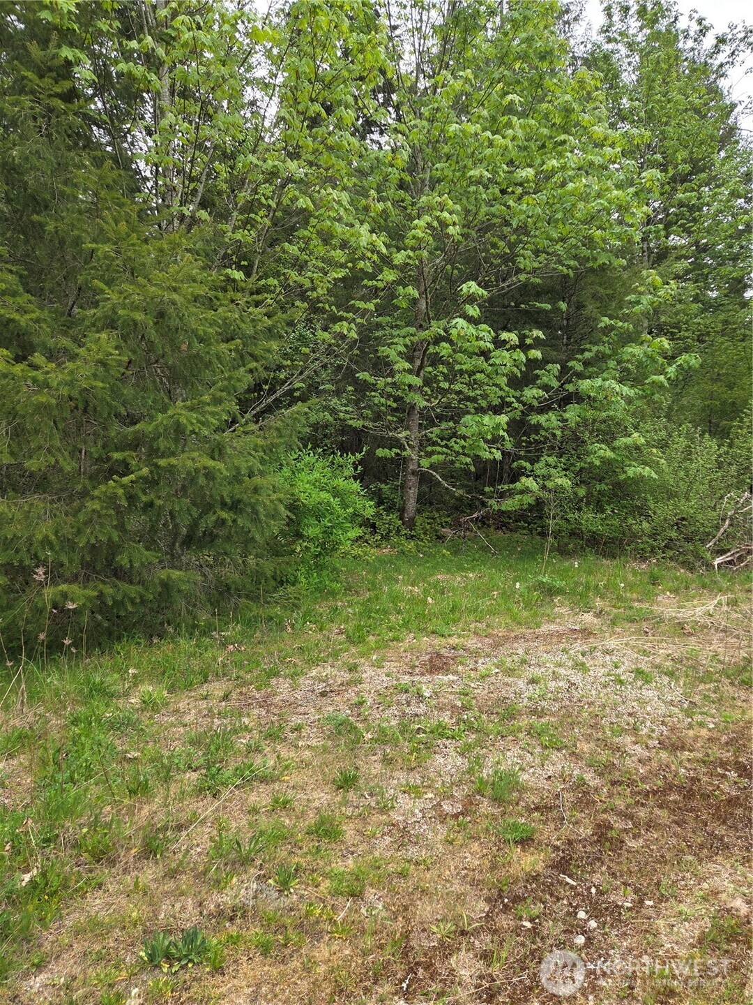 0 Wa-547 Road Property Photo 3