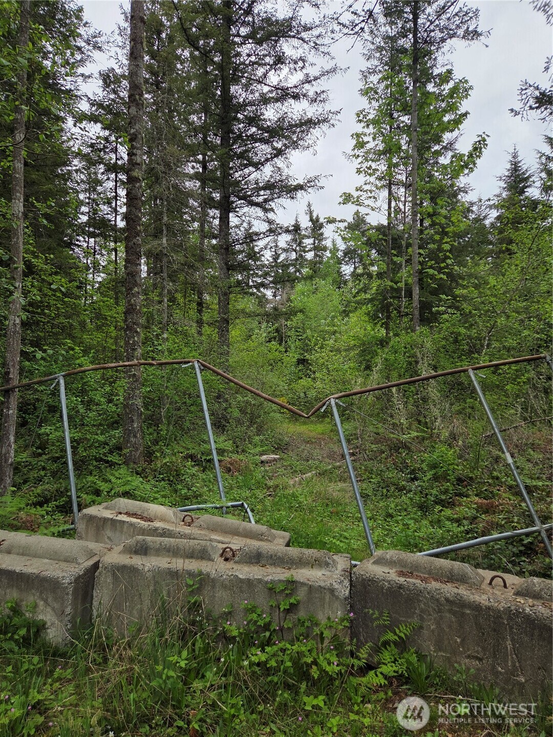 0 Wa-547 Road Property Photo 4