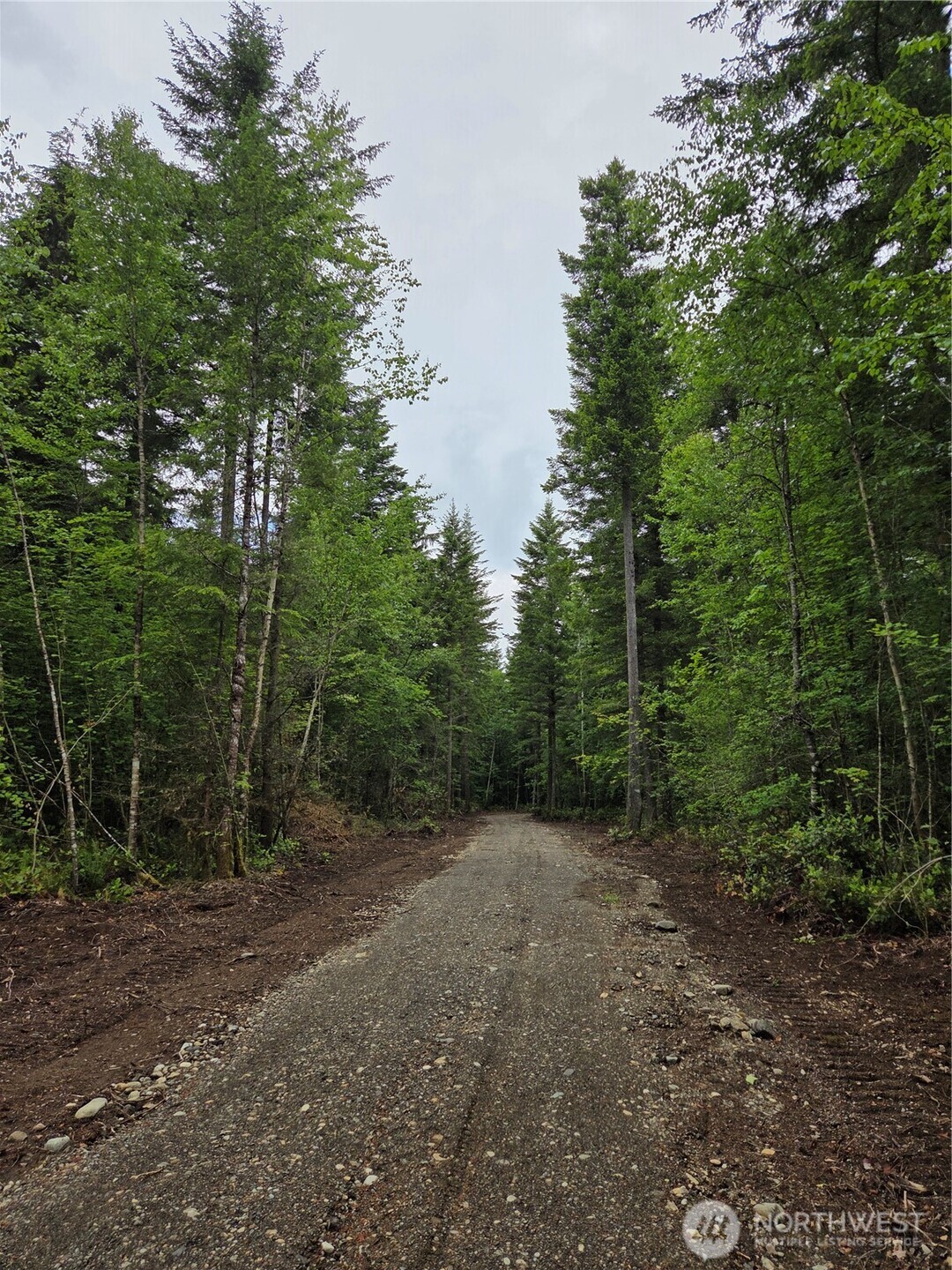 0 Wa-547 Road Property Photo 7