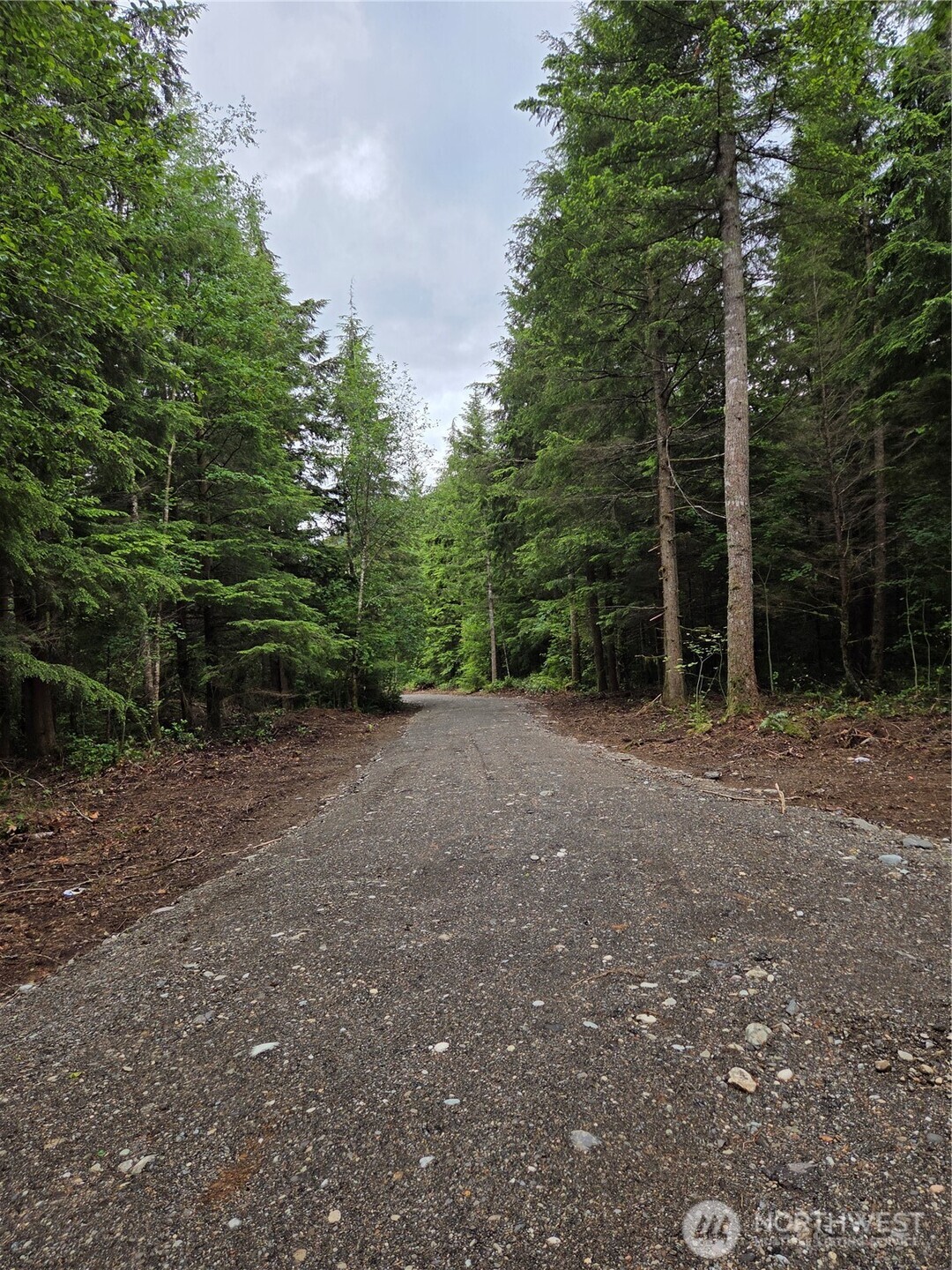 0 Wa-547 Road Property Photo 8