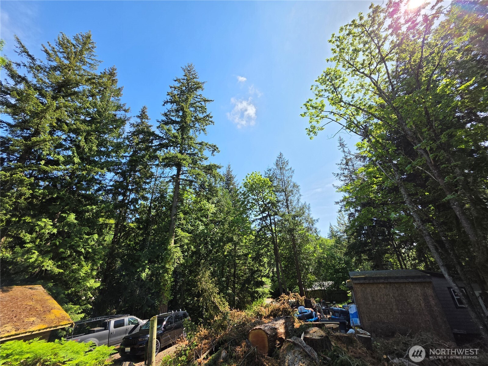 4225 Jimi Hendrix Way Property Photo 2