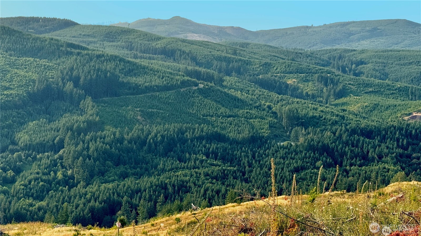 3727 Little Kalama River Road H Property Photo 1
