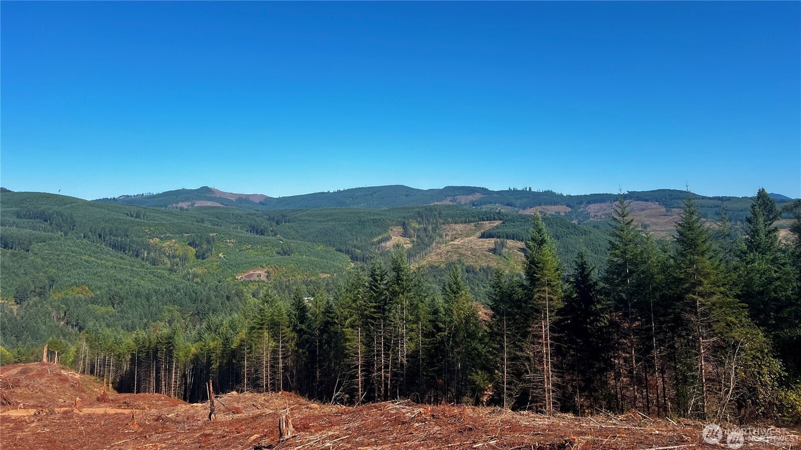 3727 Little Kalama River Road H Property Photo 13