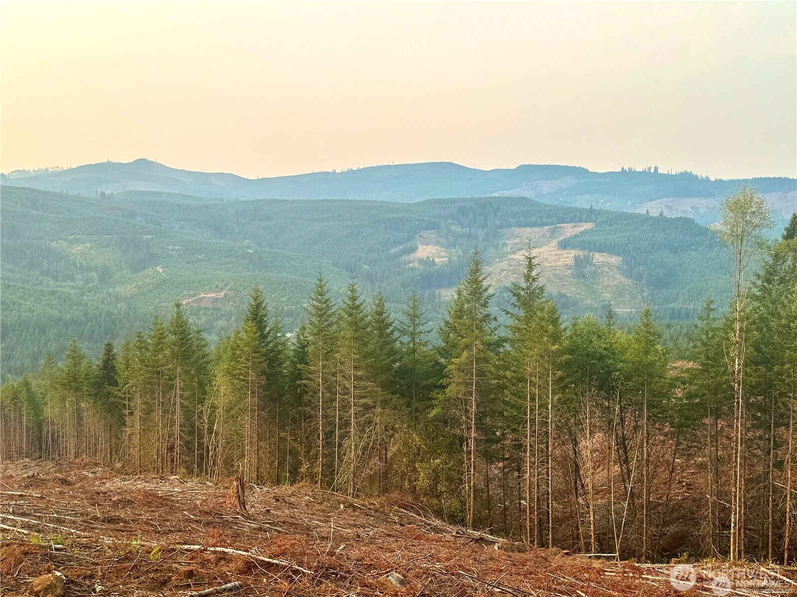 3727 Little Kalama River Road H Property Photo 15