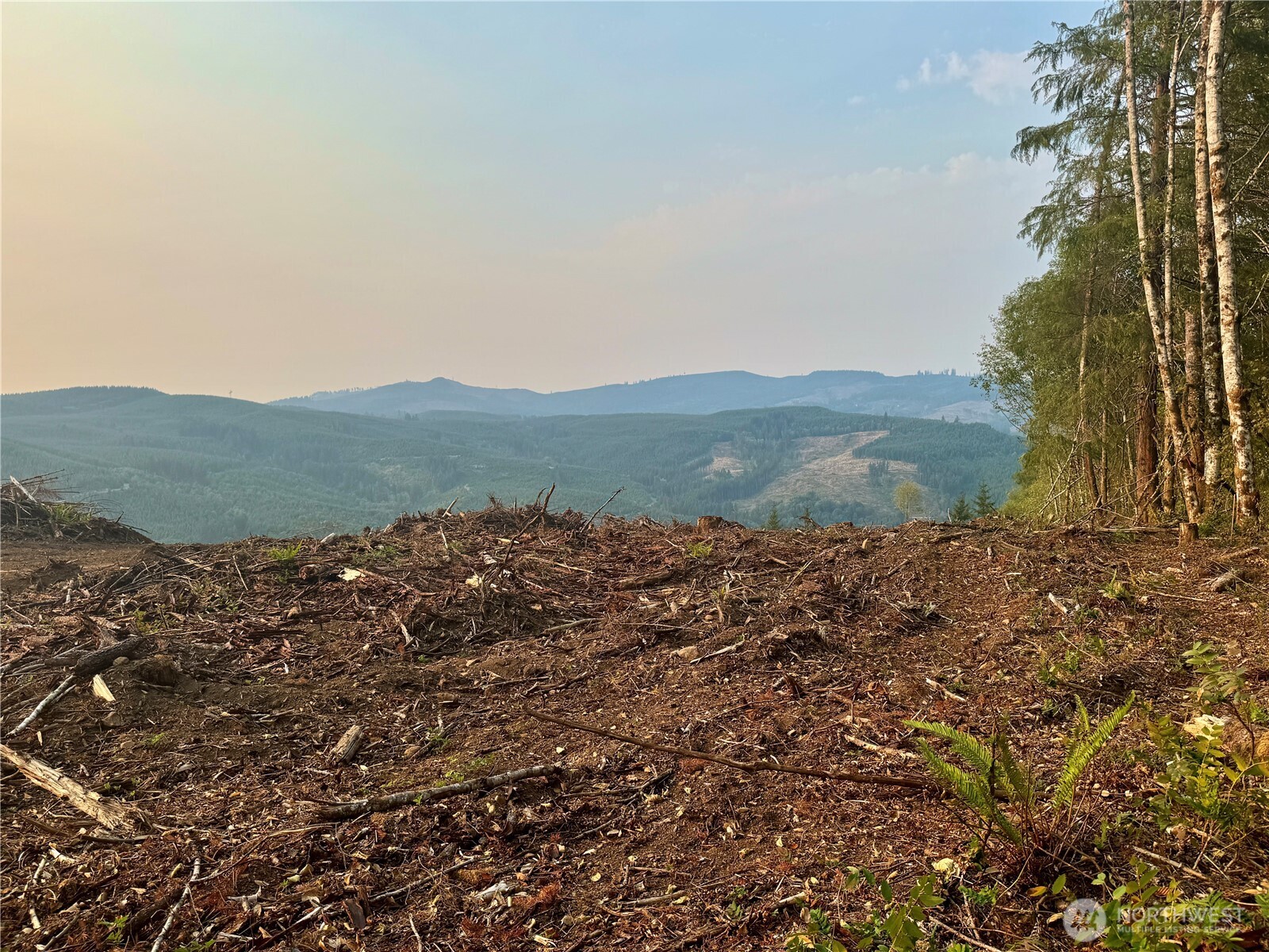 3727 Little Kalama River Road H Property Photo 19