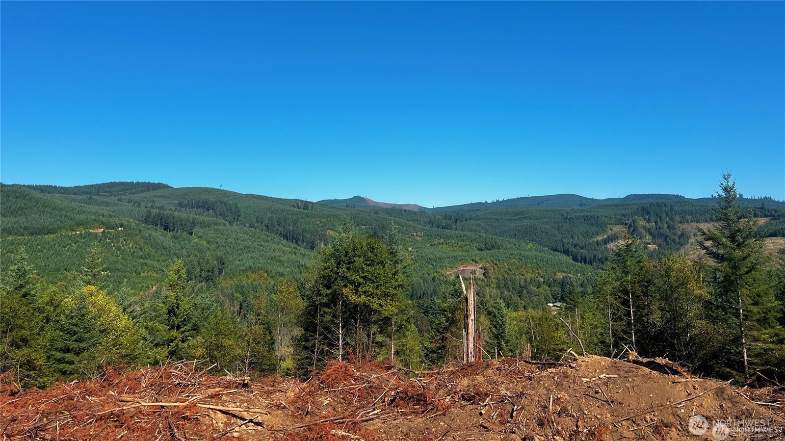 3727 Little Kalama River Road H Property Photo 23